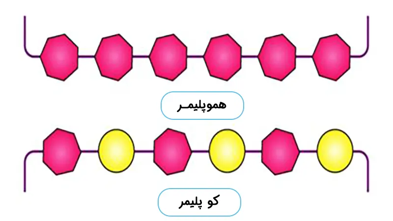کوپلیمر و هموپلیمر
